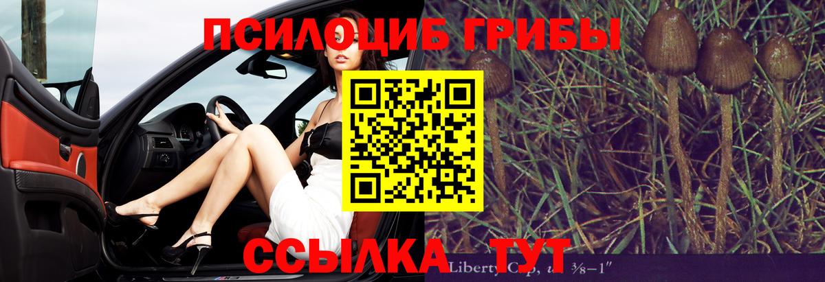 сколько стоит  Вход с VPN  Алейск  Псилоцибиновые грибы ЛСД 