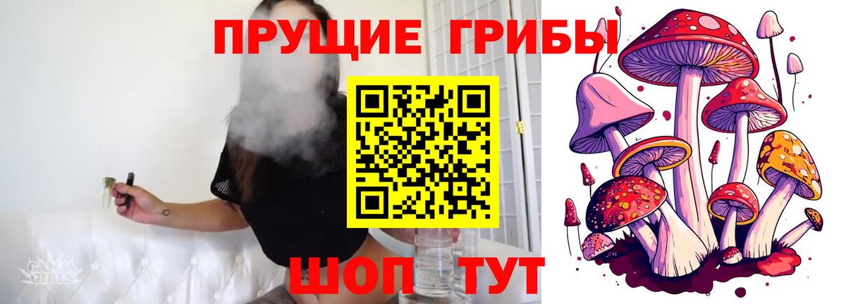 Галлюциногенные грибы GOLDEN TEACHER Алейск